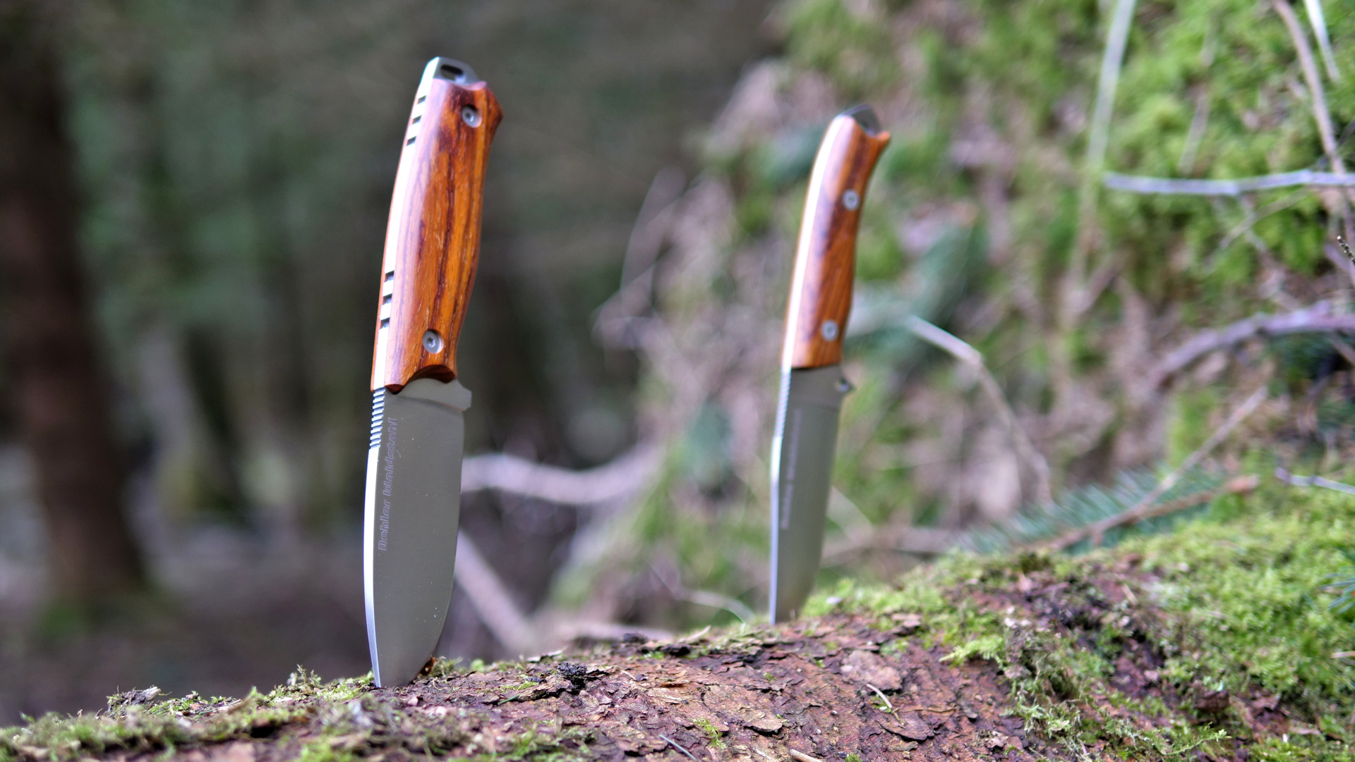 Messer Outlet Geschäft -Messer Outlet Geschäft Kat Feststehende Messer