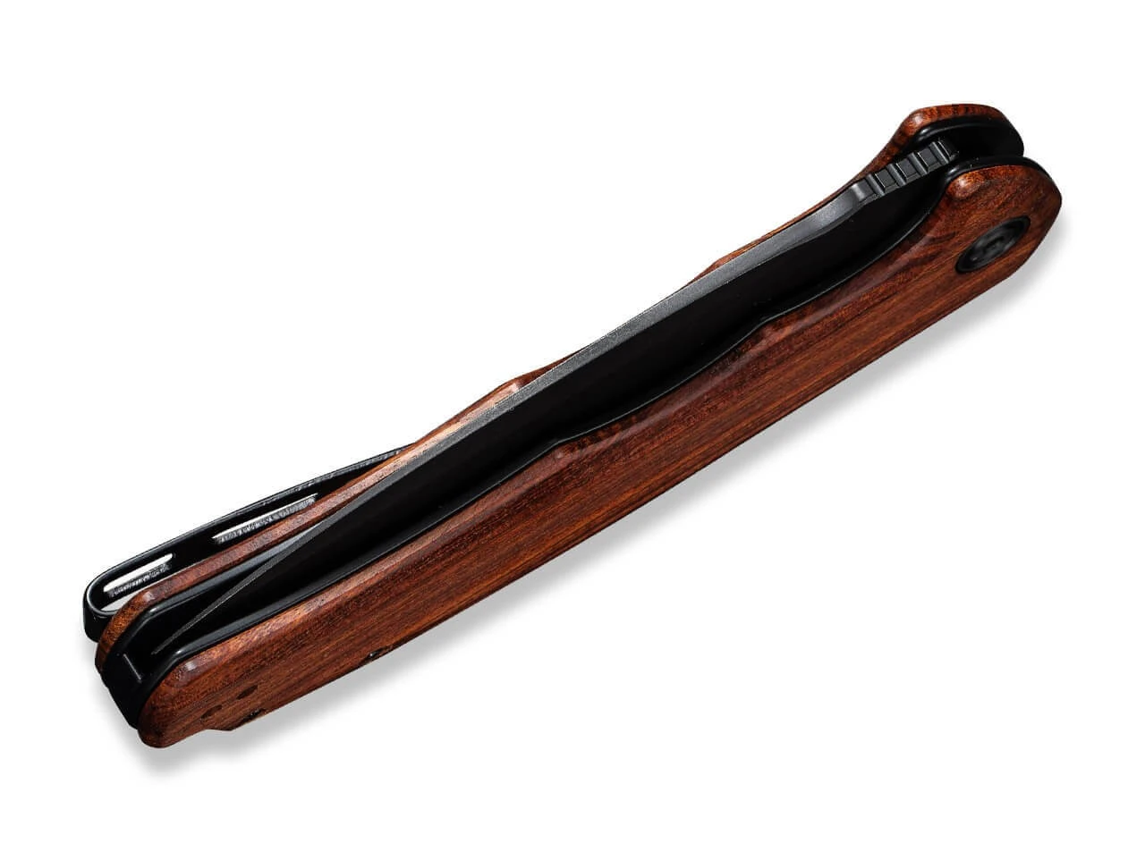 Praxis Cuibourtia BB 5 Praxis Cuibourtia BB – Bild 5