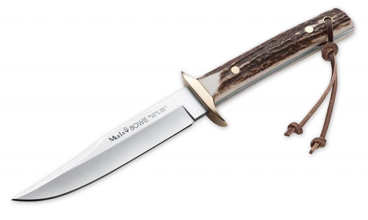 Bowie Medium 1 Bowie Medium